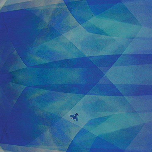 Bluefly Bluefly von TZADIK