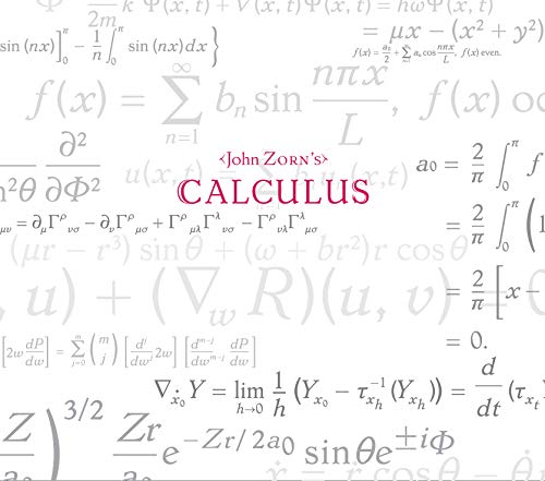 Calculus von TZADIK