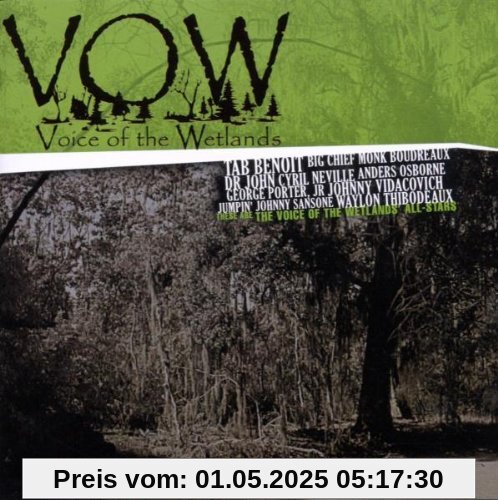 Voice of the Wetlands von Tab Benoit