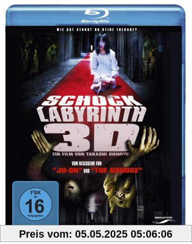 Schock Labyrinth (2D + 3D Version, Blu-ray 3D) von Takashi Shimizu