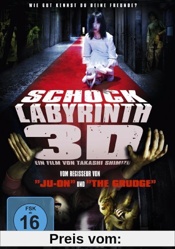 Schock Labyrinth 3D (2D+3D Version inkl. 3D Brillen) von Takashi Shimizu