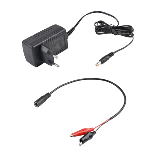TalentCell 14.4 14.6V/1.5A Smart Charger, AC DC Power Adapter Ladegerät, 12V LiFePO4 Akkus Ladegerät mit DC 5521 Stecker, Krokodilklemmen für Kamera Lautsprecher GPS Webcam Router und mehr TalentCell 14.4 14.6V/1.5A Smart Charger, AC DC Power Adapter Ladegerät, 12V LiFePO4 Akkus Ladegerät mit DC 5521 Stecker, Krokodilklemmen für Kamera Lautsprecher GPS Webcam Router und mehr von TalentCell