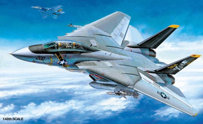 Grumman F-14A Tomcat von Tamiya