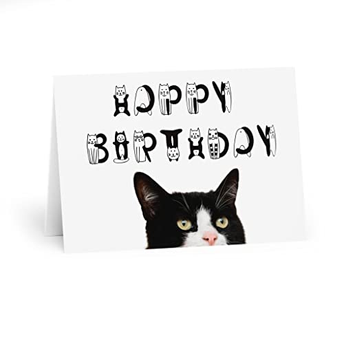 Smoking Katze Geburtstagskarte Happy Birthday Karte mit Katze Schwarz Weiß von Tamworth Cards