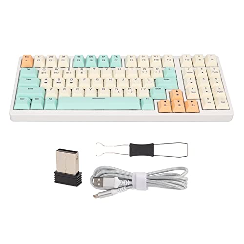 Mechanische Tastatur mit 68 Tasten für Windows-Computer, BT5.1/2.4G/kabelgebundenes USB C, Hot-Swap-fähige RGB-Hintergrundbeleuchtung Programmierbare Tastatur für Win/PC/Laptop (Weiss) von Tangxi