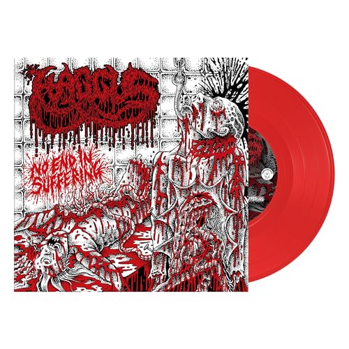 No End in Suffering [Vinyl Single] von Tankcrimes