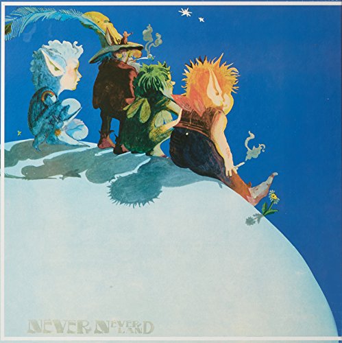 Never Neverland [Vinyl LP] von Tapestry
