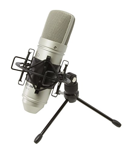 Tascam TM-80 – Kondensatormikrofon, Silber von Tascam