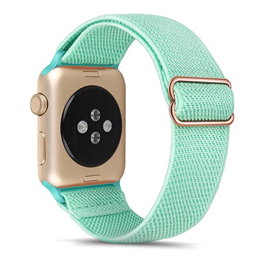Tasikar Solo Loop Band Kompatibel mit Apple Watch Armband 49mm 45mm 44mm 42mm, Nylon Ersatzarmband, Elastisches Armband Kompatibel mit Apple Watch Ultra Serie 9/8/7/6/5/4/3/2/1/SE (Blau) von Tasikar