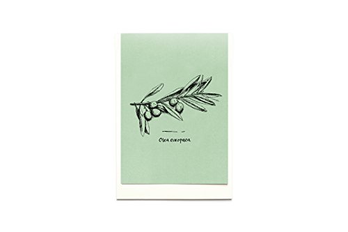 Tavolinas Grußkarten - Menükarten - Olive - stilvolle Klappkarte - mediterran - mintgrün von Tavolinas