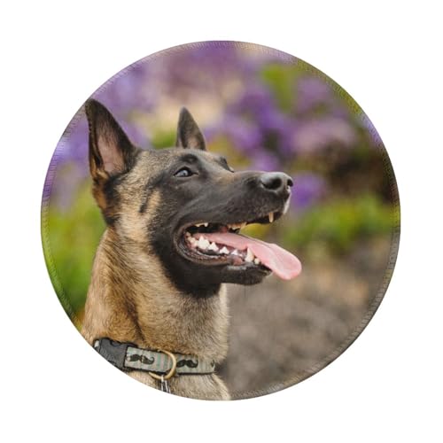 Tcoay Wasserdichtes Mauspad, rundes 8-Zoll-Mauspad, rutschfeste Gummibasis,Belgischer Malinois Haustiere Hunde Belgischer Malinois Tcoay Wasserdichtes Mauspad, rundes 8-Zoll-Mauspad, rutschfeste Gummibasis,Belgischer Malinois Haustiere Hunde Belgischer Malinois von Tcoay