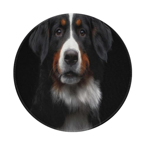 Tcoay Wasserdichtes Mauspad, rundes 8-Zoll-Mauspad, rutschfeste Gummibasis,Berner Sennenhund Tcoay Wasserdichtes Mauspad, rundes 8-Zoll-Mauspad, rutschfeste Gummibasis,Berner Sennenhund von Tcoay