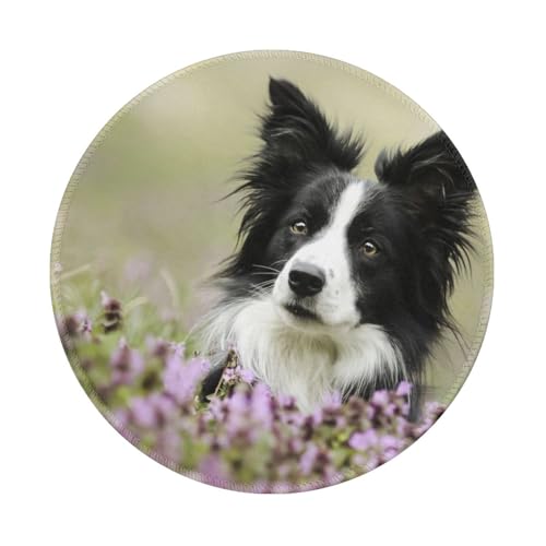 Tcoay Wasserdichtes Mauspad, rundes 8-Zoll-Mauspad, rutschfeste Gummibasis,Border Collie Rasen Schwarz Border Collie Haustiere Tcoay Wasserdichtes Mauspad, rundes 8-Zoll-Mauspad, rutschfeste Gummibasis,Border Collie Rasen Schwarz Border Collie Haustiere von Tcoay