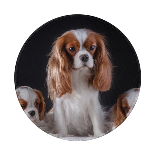 Tcoay Wasserdichtes Mauspad, rundes 8-Zoll-Mauspad, rutschfeste Gummibasis,Cavalier King Charles Spaniel Mutter mit Jungen Tcoay Wasserdichtes Mauspad, rundes 8-Zoll-Mauspad, rutschfeste Gummibasis,Cavalier King Charles Spaniel Mutter mit Jungen von Tcoay