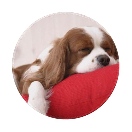 Tcoay Wasserdichtes Mauspad, rundes 8-Zoll-Mauspad, rutschfeste Gummibasis,Cavalier King Charles Spaniel Tcoay Wasserdichtes Mauspad, rundes 8-Zoll-Mauspad, rutschfeste Gummibasis,Cavalier King Charles Spaniel von Tcoay