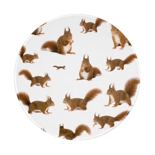 Tcoay Wasserdichtes Mauspad, rundes 8-Zoll-Mauspad, rutschfeste Gummibasis,Eurasische Eichhörnchen Tcoay Wasserdichtes Mauspad, rundes 8-Zoll-Mauspad, rutschfeste Gummibasis,Eurasische Eichhörnchen von Tcoay