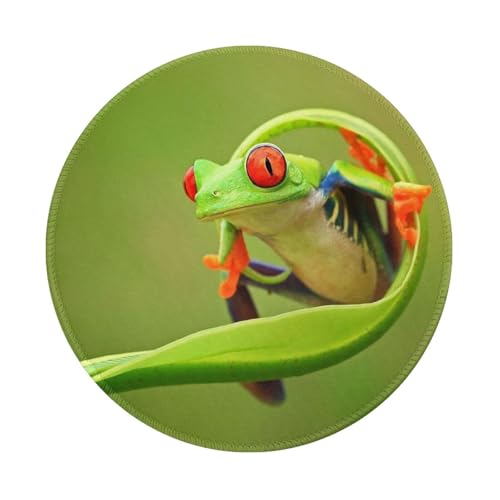 Tcoay Wasserdichtes Mauspad, rundes 8-Zoll-Mauspad, rutschfeste Gummibasis,Frosch Tcoay Wasserdichtes Mauspad, rundes 8-Zoll-Mauspad, rutschfeste Gummibasis,Frosch von Tcoay