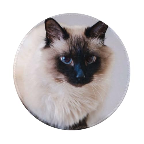 Tcoay Wasserdichtes Mauspad, rundes 8-Zoll-Mauspad, rutschfeste Gummibasis,Haustier Pelztier Katze Bali Tcoay Wasserdichtes Mauspad, rundes 8-Zoll-Mauspad, rutschfeste Gummibasis,Haustier Pelztier Katze Bali von Tcoay