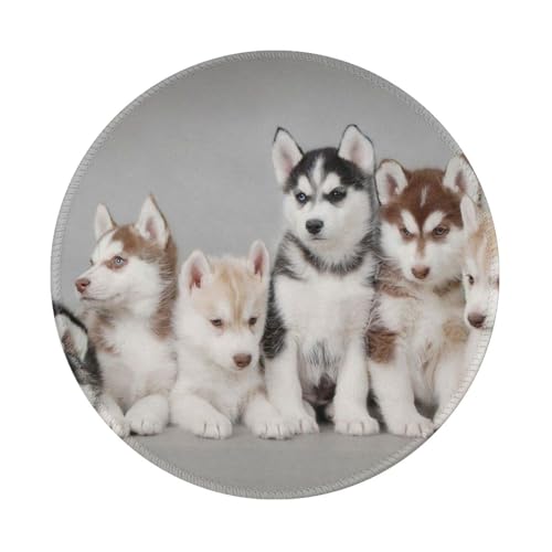 Tcoay Wasserdichtes Mauspad, rundes 8-Zoll-Mauspad, rutschfeste Gummibasis,Husky Huskie Hunde Tcoay Wasserdichtes Mauspad, rundes 8-Zoll-Mauspad, rutschfeste Gummibasis,Husky Huskie Hunde von Tcoay