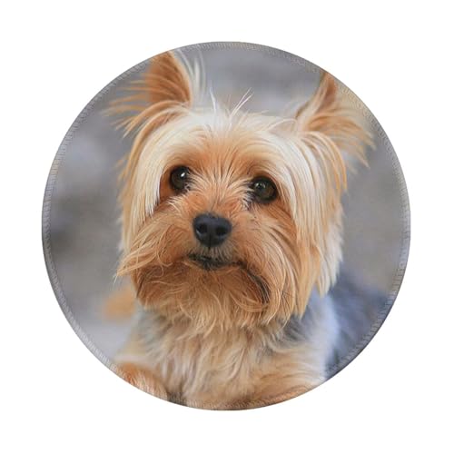 Tcoay Wasserdichtes Mauspad, rundes 8-Zoll-Mauspad, rutschfeste Gummibasis,Porträt eines Miniatur-Yorkshire-Terrier-Yorkie-Fotos Tcoay Wasserdichtes Mauspad, rundes 8-Zoll-Mauspad, rutschfeste Gummibasis,Porträt eines Miniatur-Yorkshire-Terrier-Yorkie-Fotos von Tcoay