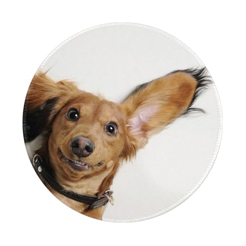 Tcoay Wasserdichtes Mauspad, rundes 8-Zoll-Mauspad, rutschfeste Gummibasis,Russischer Toy Terrier Welpen auf weißem Hintergrund Tcoay Wasserdichtes Mauspad, rundes 8-Zoll-Mauspad, rutschfeste Gummibasis,Russischer Toy Terrier Welpen auf weißem Hintergrund von Tcoay