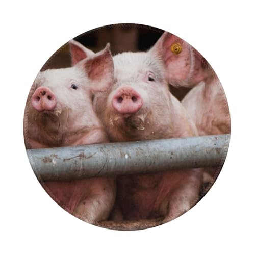 Tcoay Wasserdichtes Mauspad, rundes 8-Zoll-Mauspad, rutschfeste Gummibasis,Schwein Tcoay Wasserdichtes Mauspad, rundes 8-Zoll-Mauspad, rutschfeste Gummibasis,Schwein von Tcoay
