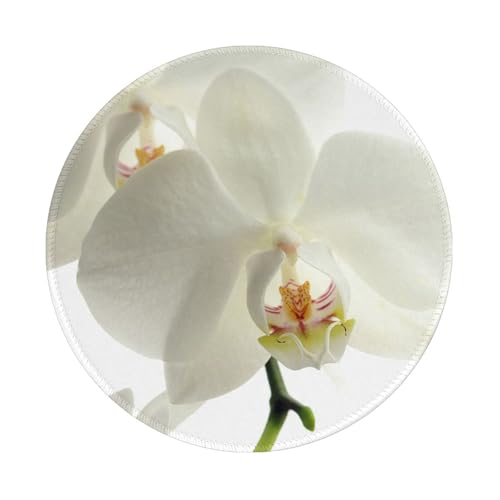 Wasserdichtes Mauspad, rundes 8-Zoll-Mauspad, rutschfeste Gummibasis,Blumen Weiße Blumen Orchidee Trendy Wasserdichtes Mauspad, rundes 8-Zoll-Mauspad, rutschfeste Gummibasis,Blumen Weiße Blumen Orchidee Trendy von Tcoay