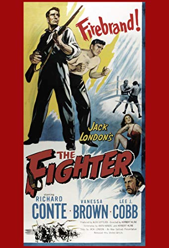 Dvd - Fighter [Edizione: Stati Uniti] (1 DVD) von Team Marketing
