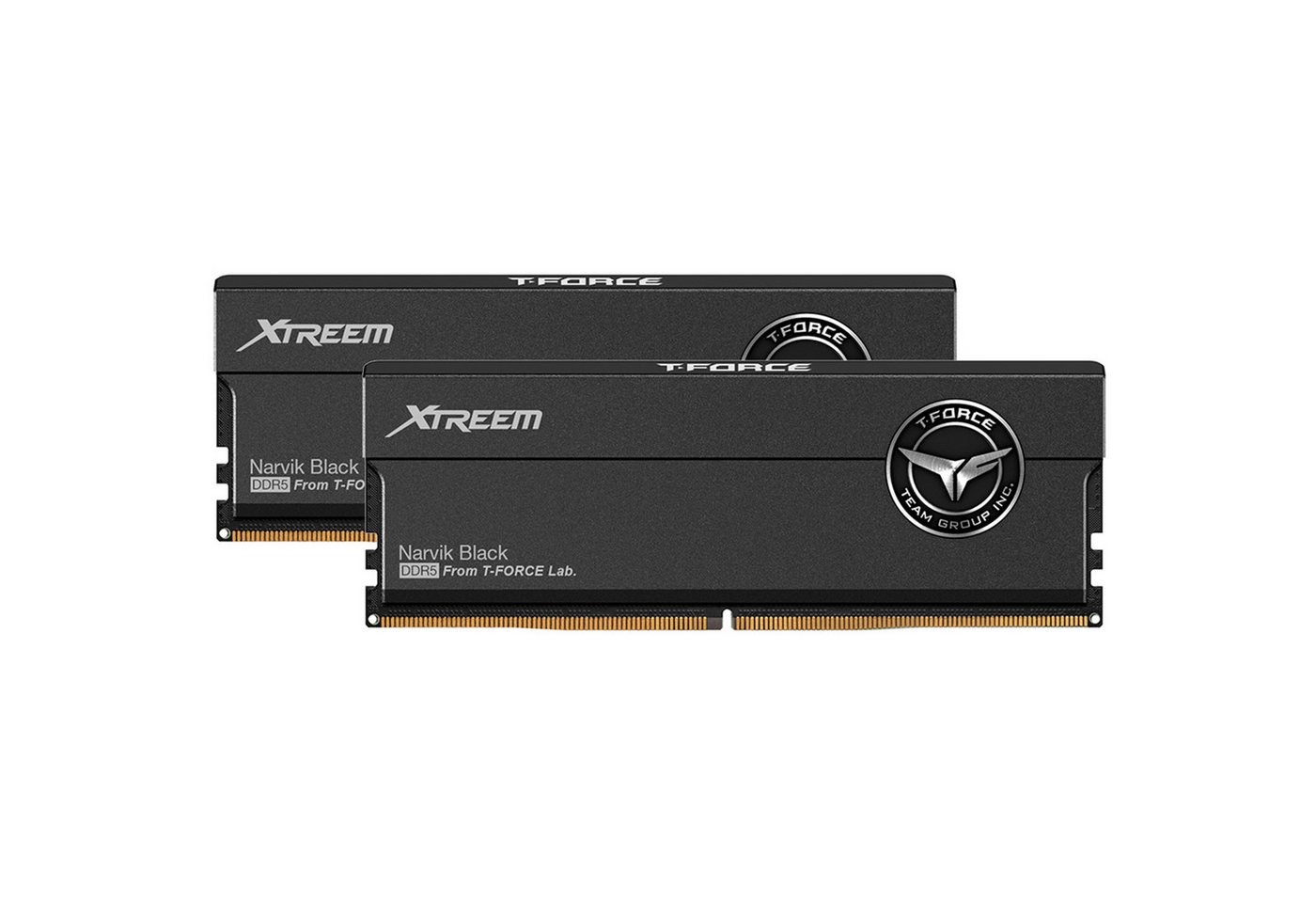 Teamgroup Team Group DIMM 32 GB DDR5-8000 (2x 16 GB) Arbeitsspeicher von Teamgroup