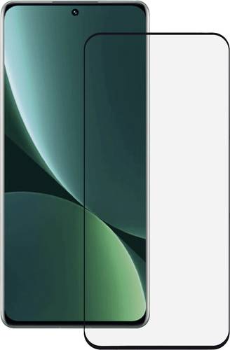Teccus FSTGTXIA12PRO Displayschutzglas 12 Pro 2 St. 63191 von Teccus