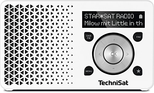 TechniSat DIGITRADIO 1 – tragbares DAB+ Radio mit Akku (DAB, UKW, Lautsprecher, Kopfhöreranschluss, Favoritenspeicher, OLED Display, klein, 1 Watt RMS) weiß/silber von TechniSat