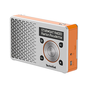 TechniSat DIGITRADIO 1 Radio silber, orange von Technisat