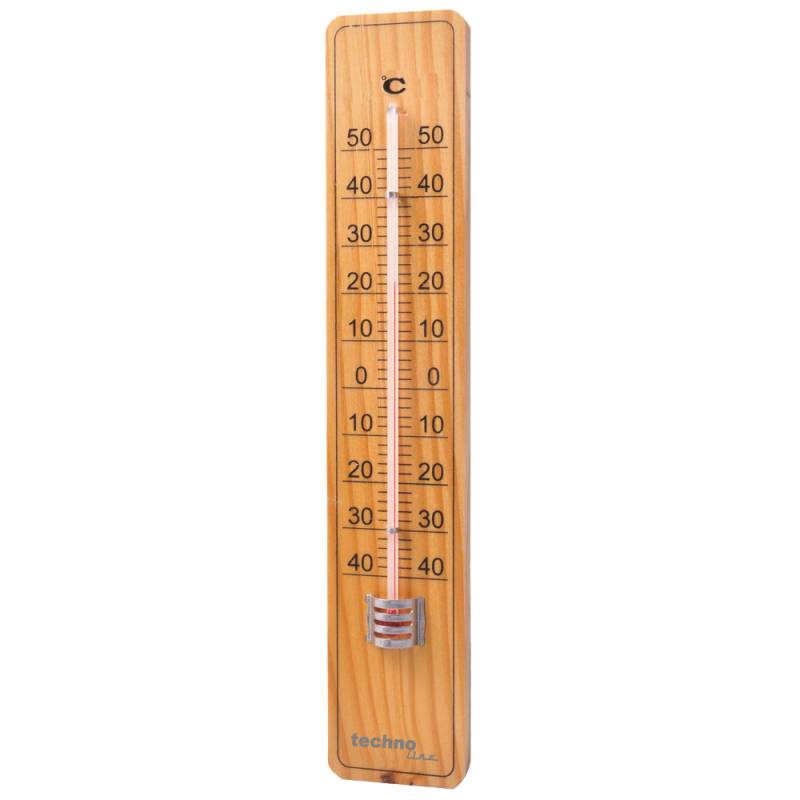 WA 2010 - ThermoMeter von Technoline