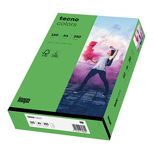 tecno Kopierpapier colors intensivgrün DIN A4 160 g/qm 250 Blatt von Tecno