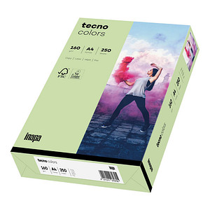 tecno Kopierpapier colors mittelgrün DIN A4 160 g/qm 250 Blatt von Tecno