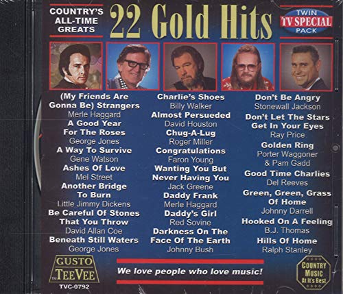 22 Gold Hits (Various Artists) von Tee Vee Records