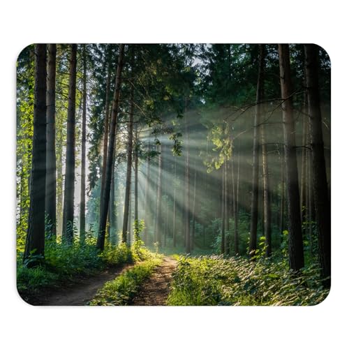 Mauspad, Motiv: Mystischer Wald, Fotografie, Natur, 22 x 18 cm, rutschfeste Gummi-Unterseite, dekorative Matte, Schreibtisch, Büro, Laptop, Geschenk, Landschaft, natürliche Magie Mauspad, Motiv: Mystischer Wald, Fotografie, Natur, 22 x 18 cm, rutschfeste Gummi-Unterseite, dekorative Matte, Schreibtisch, Büro, Laptop, Geschenk, Landschaft, natürliche Magie von Teegarb Letter Blanket