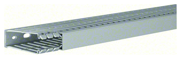 Tehalit BA780025 Verdrahtungskanal 80x25 grau (2m) von Tehalit