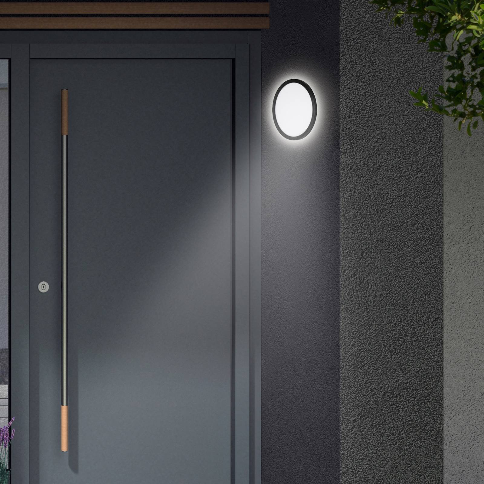 LED-Außenwandleuchte Nizza, Ø 28cm, schwarz 4.000K LED-Außenwandleuchte Nizza, Ø 28cm, schwarz 4.000K von Telefunken