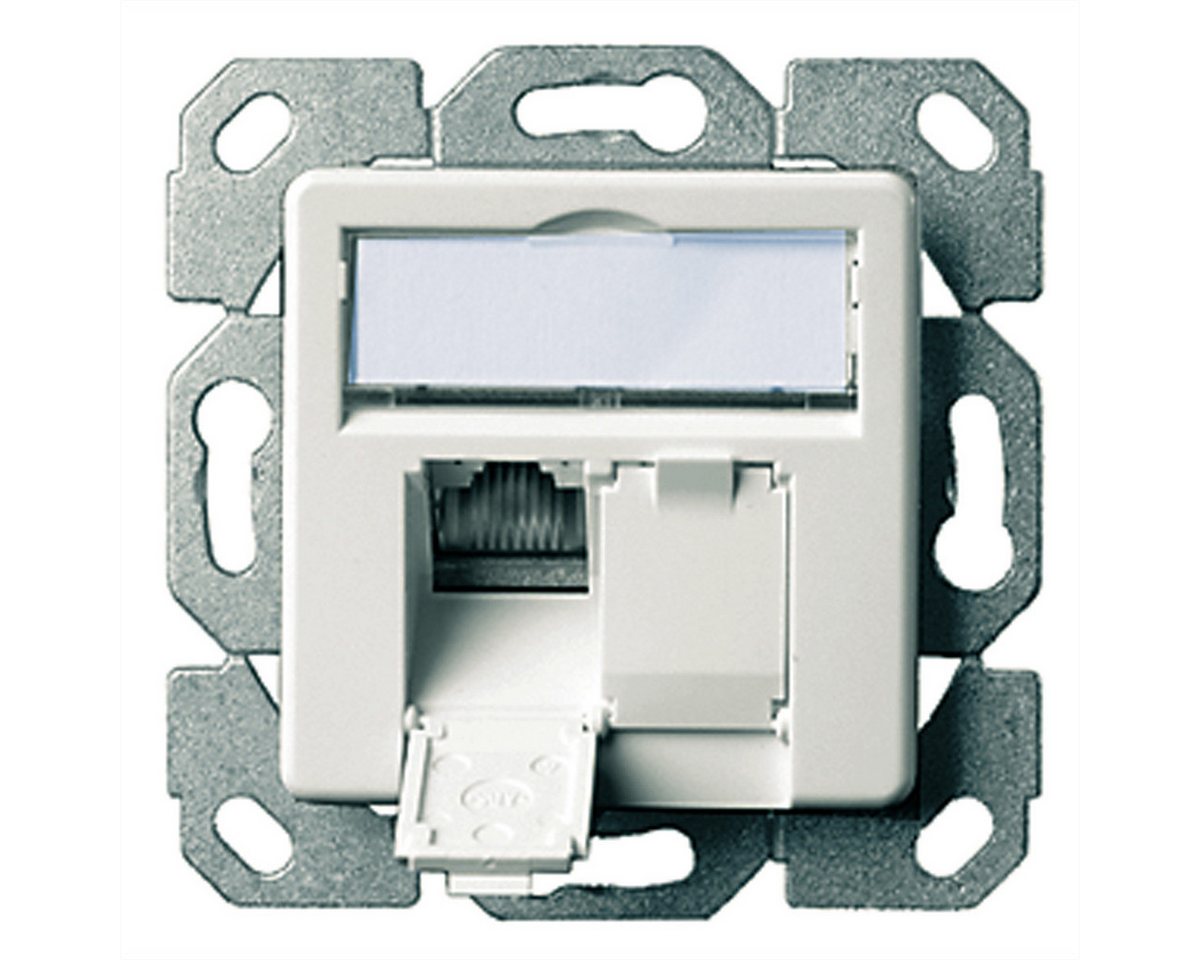Telegärtner Dose AMJ45 UP/50 2x RJ-45 Kat.6 (Class E) Netzwerk-Panel (bestückt, 2 Ports, alpinweiss) von Telegärtner