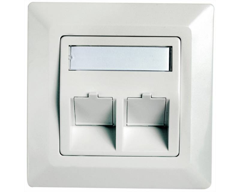 Telegärtner Unterputzdose Modulaufnahme Netzwerk-Panel (2-fach, reinweiss) von Telegärtner