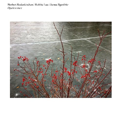 Opalescence ist das neue Album eines ungewöhnlichen Trios, bestehend aus Norbert Rodenkirchen, Robbie Lee und James Ilgenfritz. Ihr Background ist ein unkonventioneller Mix aus mittelalterlicher Musik, modernen Kompositionen, divers Folk Traditionen und – natürlich – Jazz. Das Resultat ist eine schwer zu klassifizierende Mischung aus improvisierten Formen, die Genres miteinander vermengen, die vermeintlich Welten voneinander trennt, doch am Ende überraschend gut zueinander passen. Die Basis bildet eine Serie von Solokompositionen von Rodenkirchen, auf die Ilgenfritz und Lee beispielsweise mit Bass Solo und mittelalterlicher Klarinette antworten. Opalescence ist eine kreative Sounderfahrung, die zu wiederholtem Hören einlädt. [Vinyl LP] von Telegraph Harp