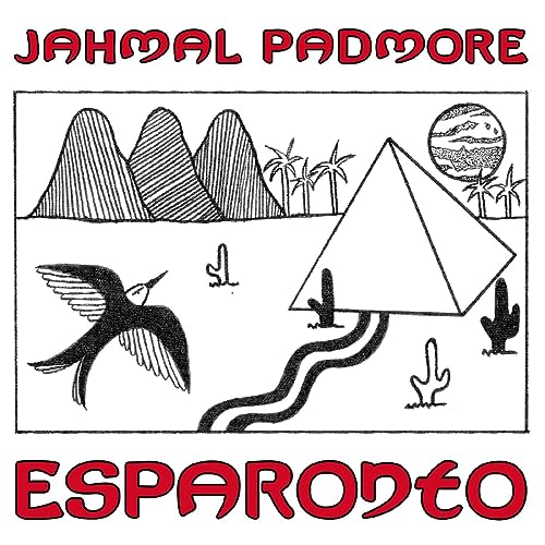 Esparonto [Vinyl LP] von Telephone Explosion Records