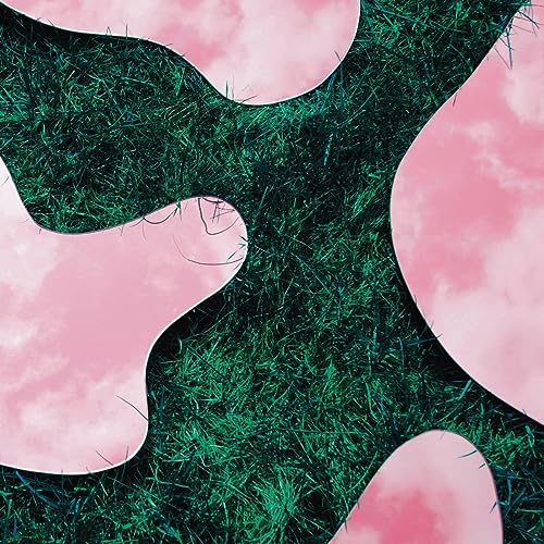 Lee Paradise & Co [Vinyl LP] von Telephone Explosion Records
