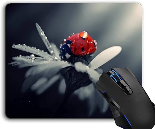 TengYuer Mauspad Klein 180x220x2mm Gaming Maus Pad mit rutschfeste Gummiunterseite, Waschbar Mouse Pad für Kabellose Maus Laptop PC Büro Zuhause Arbeiten Spiele - Schöne Natur von TengYuer