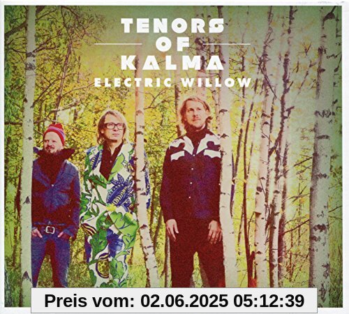 Electric Willow (Feat. Jimi Tenor & Kalle Kalima) von Tenors of Kalma