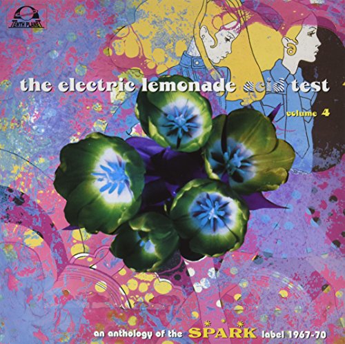 Electric Lemonade Acid Test, Vol. 4 von Tenth Planet