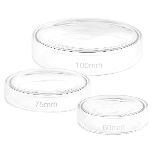 Teqler Petrischale 60 mm von Teqler