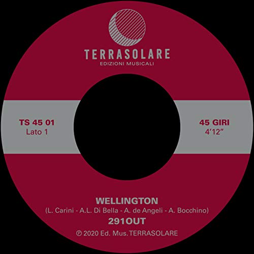 Wellington [Vinyl LP] von Terrasolare