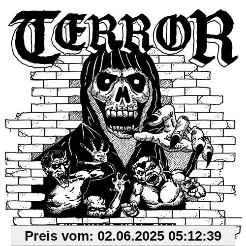 The Walls Will Fall EP von Terror